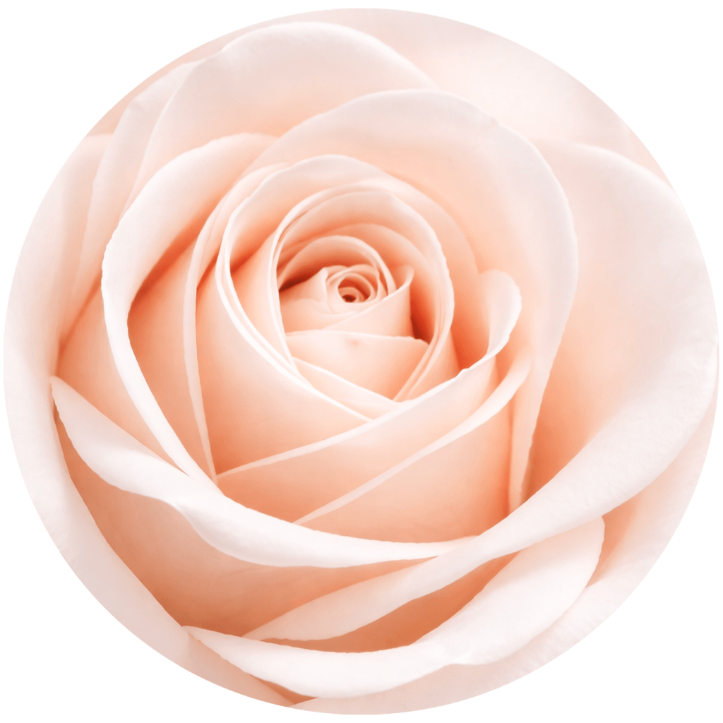 Chirurgia estetica del viso - Chirurgia Plastica a Pavia, Ricostruttiva ed Estetica a Pavia - Prof.ssa Angela Faga